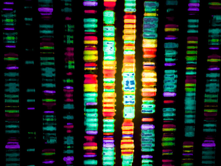 Piattaforme Intelligenti Di Sequenziamento Per Analisi Genomica E Diagnostica Personalizzata Del Cancro E Malattie Genetiche.