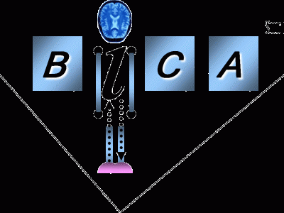 BICA Society Outstanding Research Award