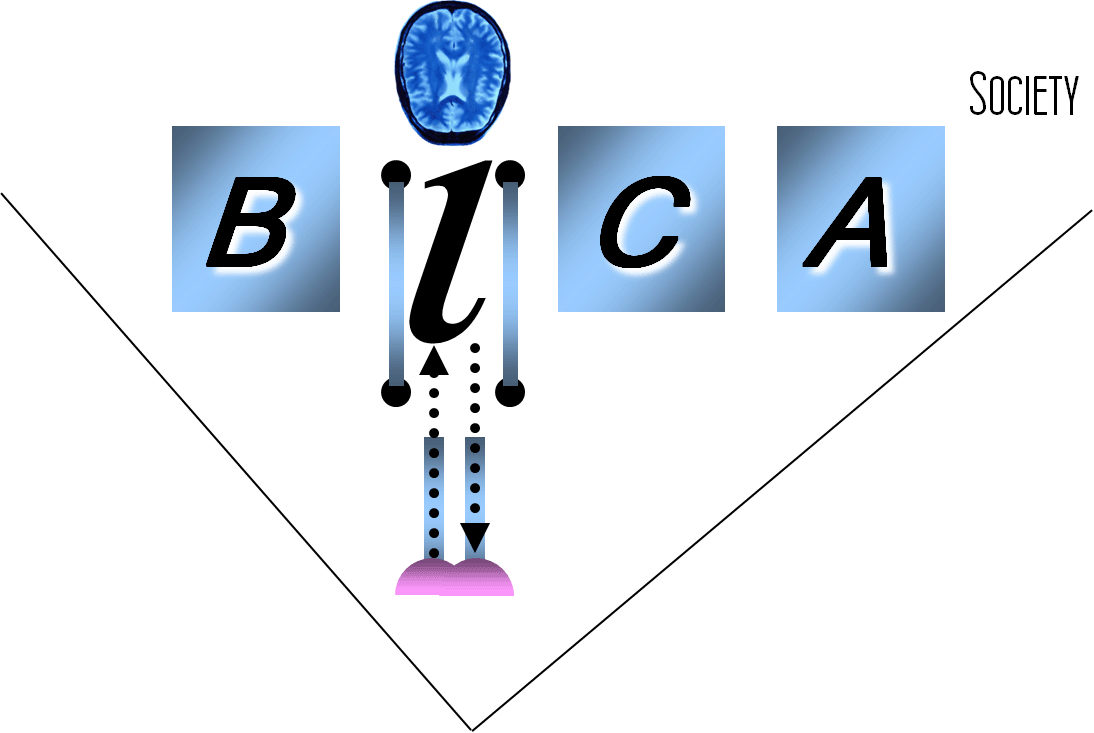 BICA Society Outstanding Research Award