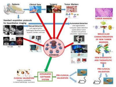 Sviluppo Di Un Sistema Integrato Radiomico E Fenotipico, Per La Diagnosi, La Prognosi E La Personalizzazione Della Terapia Dei Tumori Della Testa E Del Collo. Piattaforma Tecnologica EMorforad – Campania