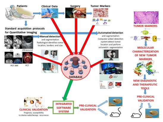 Development Of An Integrated Radiomic And Phenotypic System For The Diagnosis, Prognosis And Personalized Therapy Of Head And Neck Cancer Therapy. Technological Platform: EMORFORAD-Campania