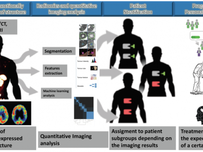 MOLIM ONCOBRAIN LAB – Innovative Methods Of Molecular Imaging For Oncological And Neurodegenerative Diseases