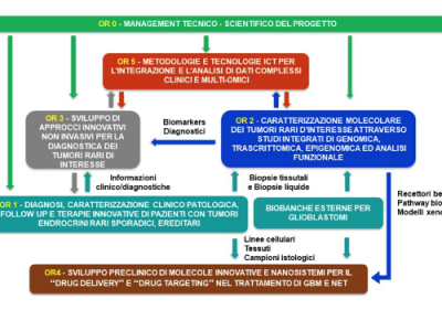 RARE.PLAT.NET – Diagnostic And Therapeutic Innovations For Neuroendocrine And Endocrine Tumors And For Glioblastoma Through An Integrated Technological Platform Of Clinical, Genomic, ICT, Pharmacological And Pharmaceutical Skills