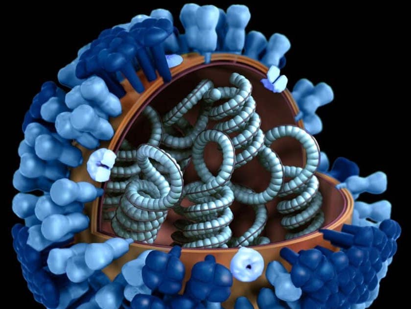 Caratterizzazione Bio-molecolare Del Virus SARS_COV-2 E Dei Cofattori Dell’infiammazione Implicati Nella Patogenesi Della COVID-19